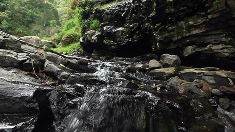 Establish Shot close up river in rain forest with slider