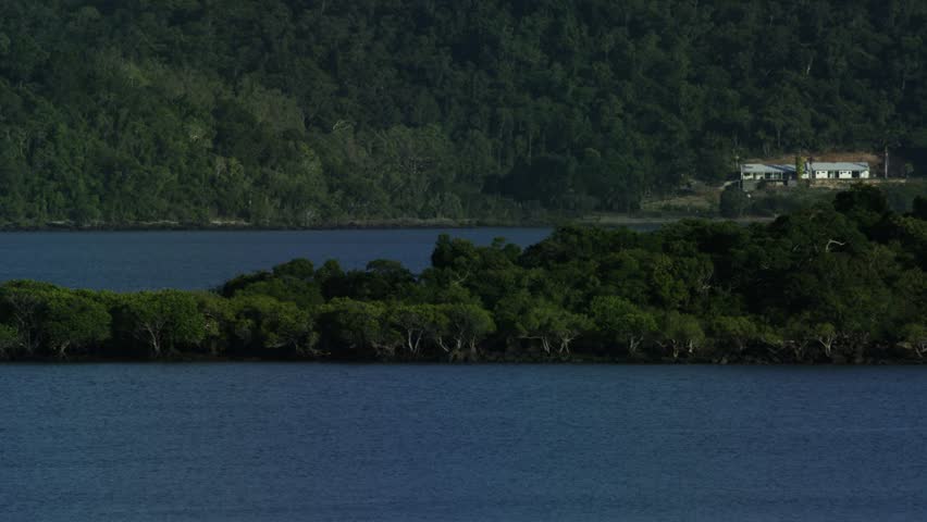 Island of Trees in the Middle of the Bay