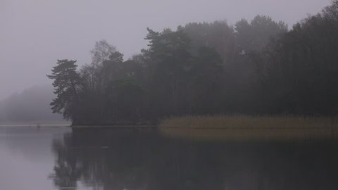 Autumn landscape, gloomy misty forest lake, panning.