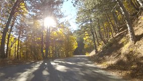 winding mountain road through the woodland in early autumn, video with GoPro