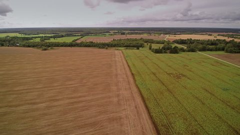 Aerial shot of the bean fields in Estonia. The green beans on the other side and the brown field on the other side