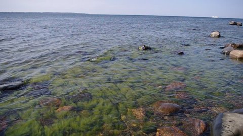 Boulders with green seaweed in the Baltic sea