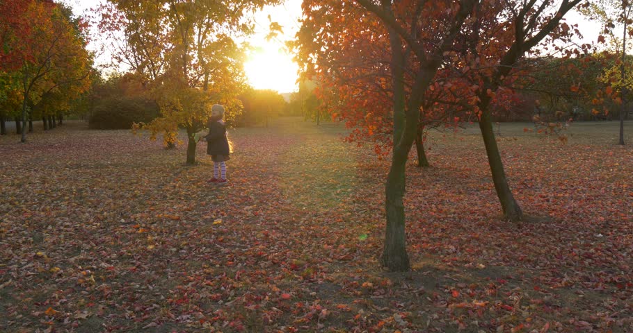 Little Girl in Beret And Blue Jacket is Walking at Park Picking Up the Fallen Leaves, Tracking Left, Holding the Bouquet Made of Maple Leaves, Girl