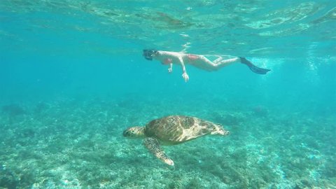 Slow motion shot of a girl snorkeling with a sea turtle