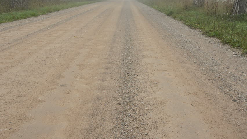 gravel road with tree and morning mist