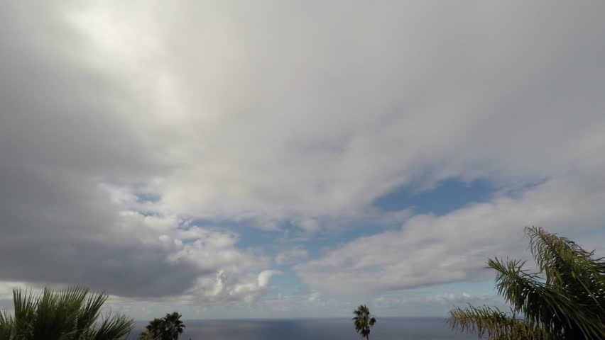 clouds above ocean panorama with palm trees - time lapse