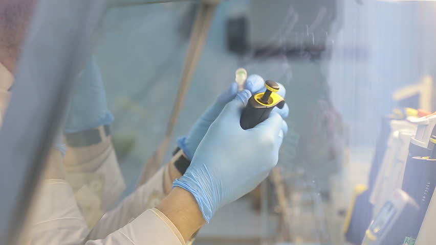 Researcher working at laboratory workplace for DNA test Royalty-Free Stock Footage #13337555