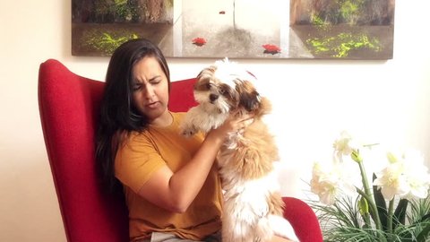 Young brazilian woman sitting in armchair playing with her dog 