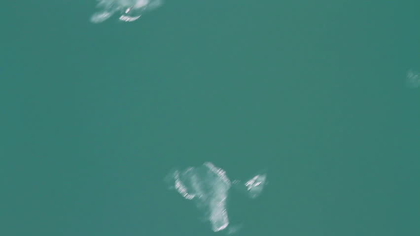 alaskan water with pieces of glacier drift by quickly, aerial view.