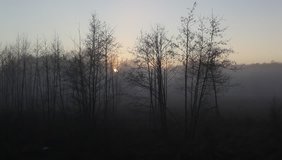 field in fog. HD 1080p video
