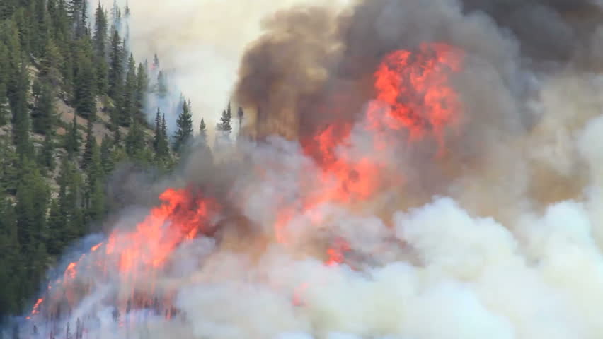 Huge flames and smoke of a forest fire in the Rocky Mountains