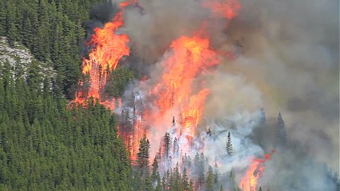 Huge flames and smoke of a forest fire in the Rocky Mountains Stock Video