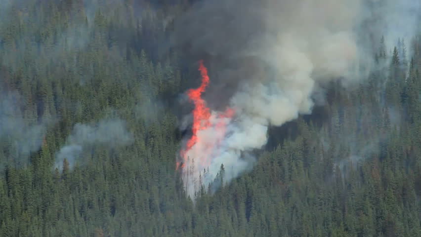 forest fire rocky mountains Stock Footage Video (100% Royalty-free ...