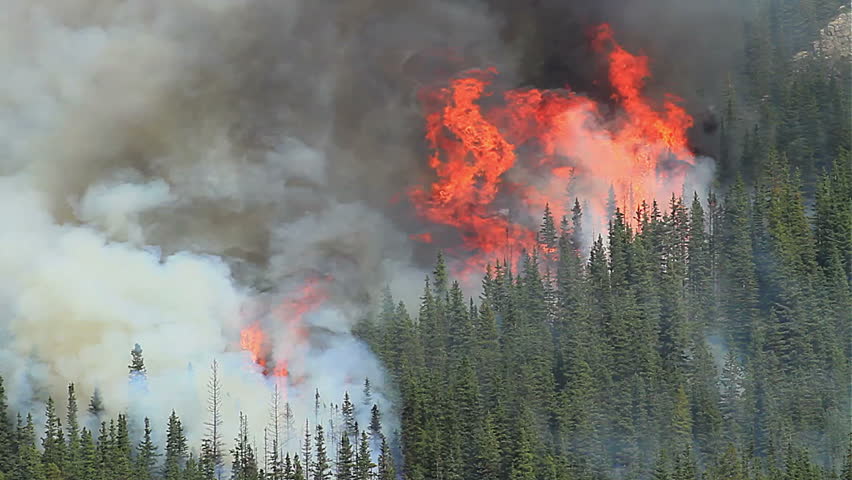 Huge flames and smoke of a forest fire in the Rocky Mountains