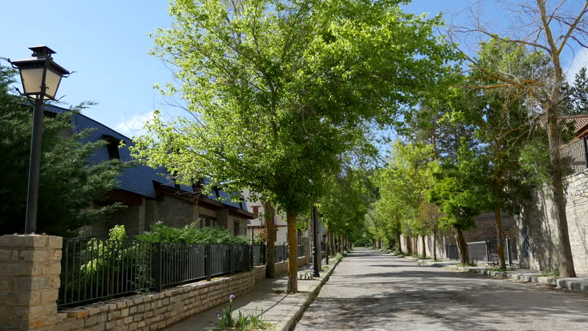 Trees line a residential street in the Aragon village of La Virgen de la Vega.
