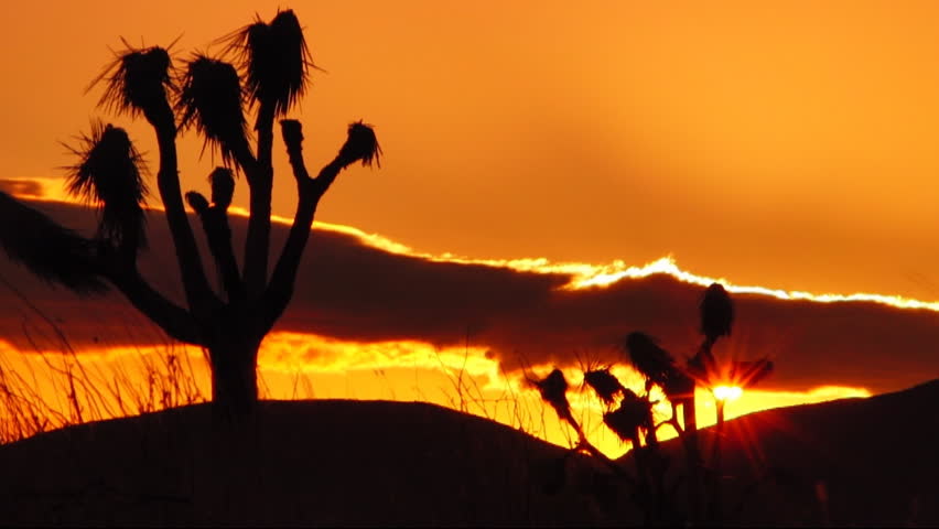 Joshua Tree HS 05 Sunset Loop 01 California USA