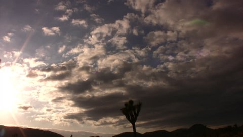 Joshua Tree Sunset 02 Motion control time lapse Pan Tilt Up 20x California USA