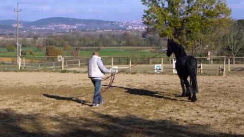 UMBRIA, ITALY - DEC 12, 2015 - Man trains a horse in open manege. Slow motion.