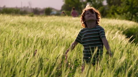 Summer Holidays. Little curly red-haired boy stands among the wheat field arms spread out against the wind. Slow Motion 240 fps