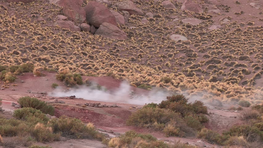 Geyser smoking. El Tatio is the biggest geyser place in South America.(CHILI - NOVEMBER 2014)