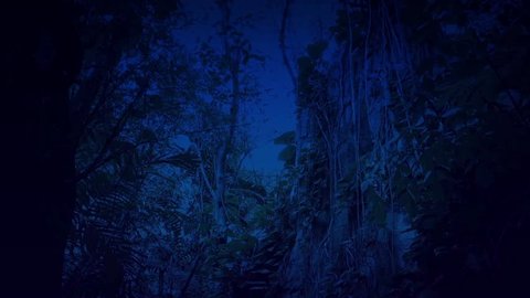 Passing Overgrown Cliff Face In Jungle At Night