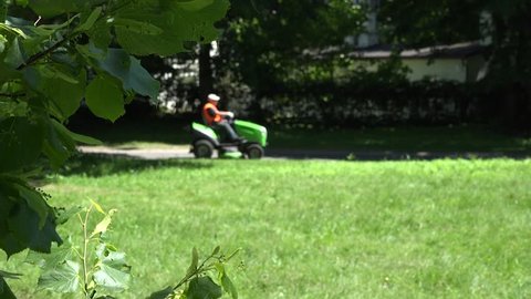 Tree leaves and park keeper drive ride lawn mower. Focus on tree leaves. Static shot. 4K