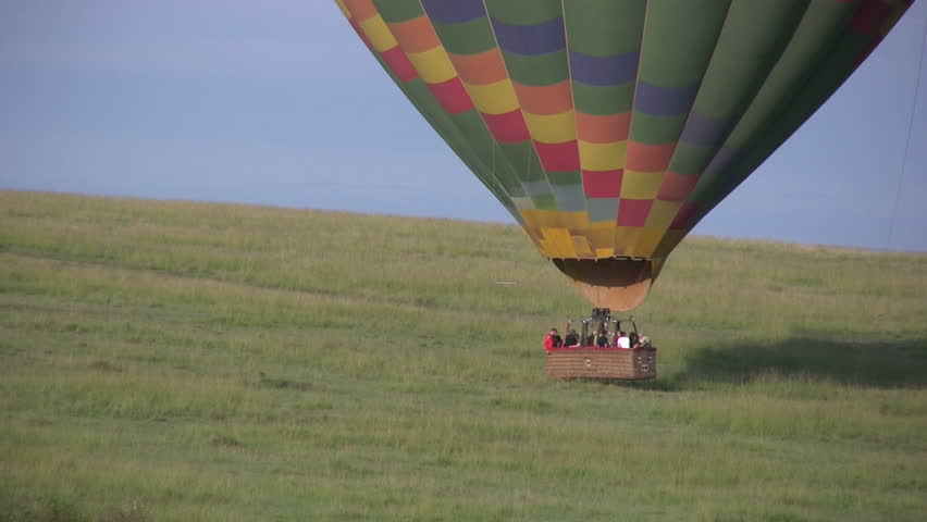 A hot air balloon landing near a flock of ostrich