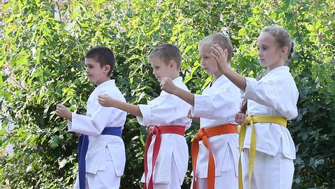 Athletes in a kimono with different belts do synchronous blows hands of karate on the outdoors