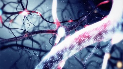 Real Neuron synapse network with red electric impulse activity 3D animation. Infinite Loop inside the human brain.