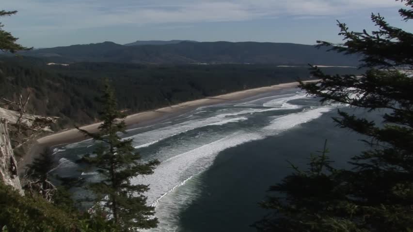 View of Oregon coastline with waves sweeping the shoreline from pine tree forest