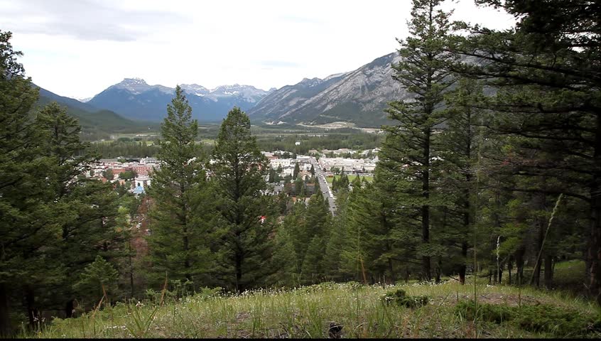 Mountain wood in Banff National Park (Alberta, Canada)