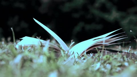 Book in the grass