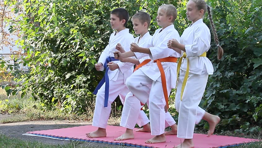 Boy and girl are doing karate techniques outdoors Royalty-Free Stock Footage #13494374