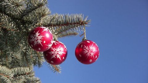 Christmas and New Year decoration - red balls on fir branches 