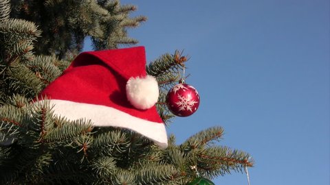 Christmas and New Year decoration - red  hat and ball on fir branches 