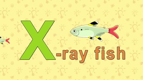 3 Cartoon X Ray Fish Stock Video Footage - 4K and HD Video Clips |  Shutterstock