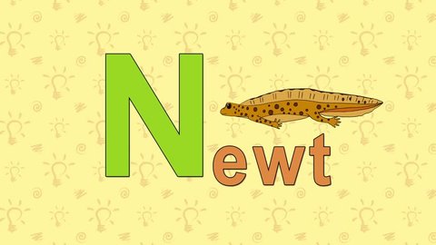 Newt. English ZOO Alphabet - letter N
Animation English alphabet. Letter N and word  Newt. Handmade animation. 

