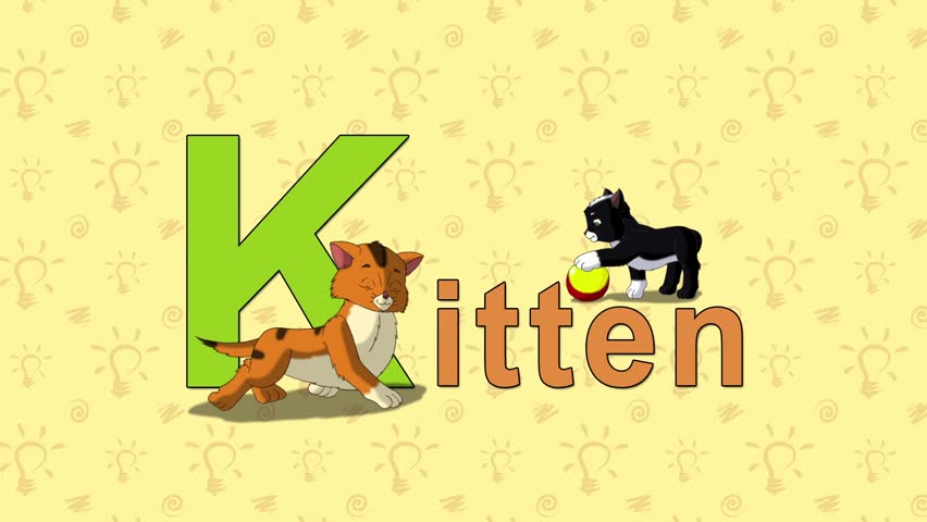 For kitten is k Pets for