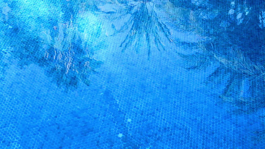 The shadow of a palm tree leafs in the pool 