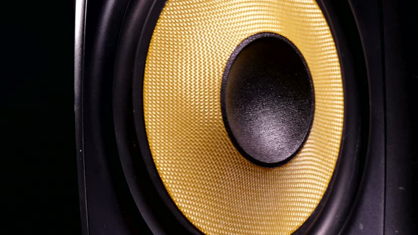 Speaker record. Speaker record