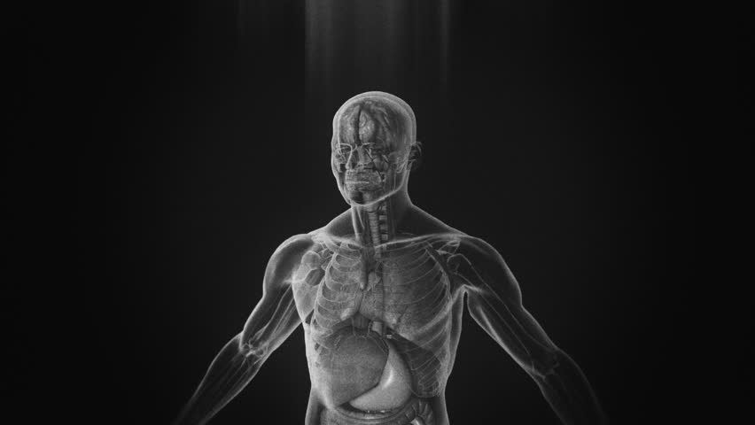 3d x ray