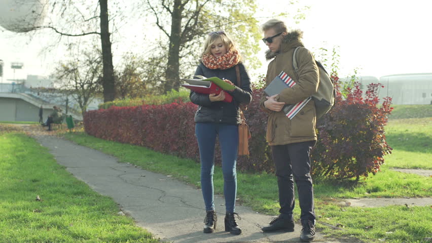 Students standing on boulevard and smiling to the camera
