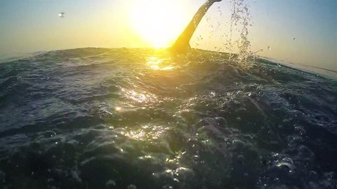 slow motion of professional swimmer swimming crawl outdoor on sunset, front view