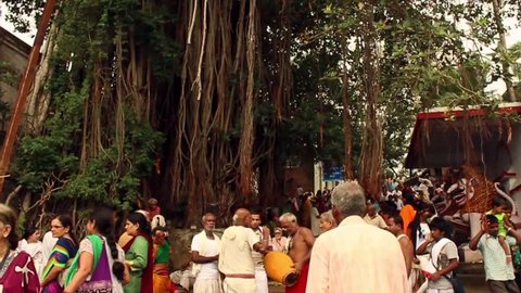 JAGANNATH PURI, INDIA, AUGUST 18, 2015: Banyan tree and crowd of pilgrims, pan and tracking shot, slow motion, in Jagannath Puri, India.