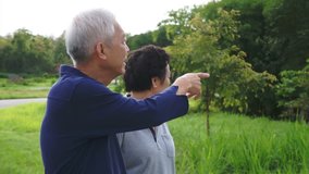 Video of Happy asian senior couple pointing, talking and walk through the park with mountain background