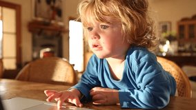 Toddler boy using a laptop computer