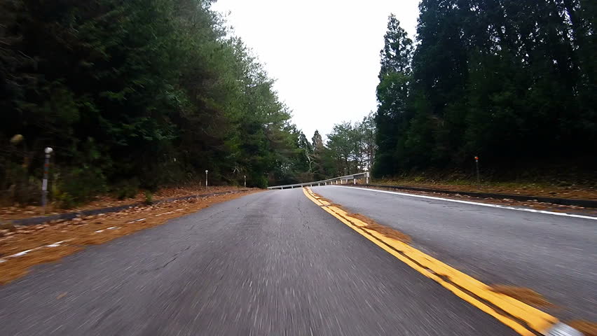 Front bumper view. The car running a chicane at high speed.