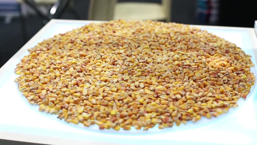 Corn on a plate that rotates