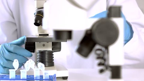 Researcher working in lab with microscope, researcher in biochemical lab