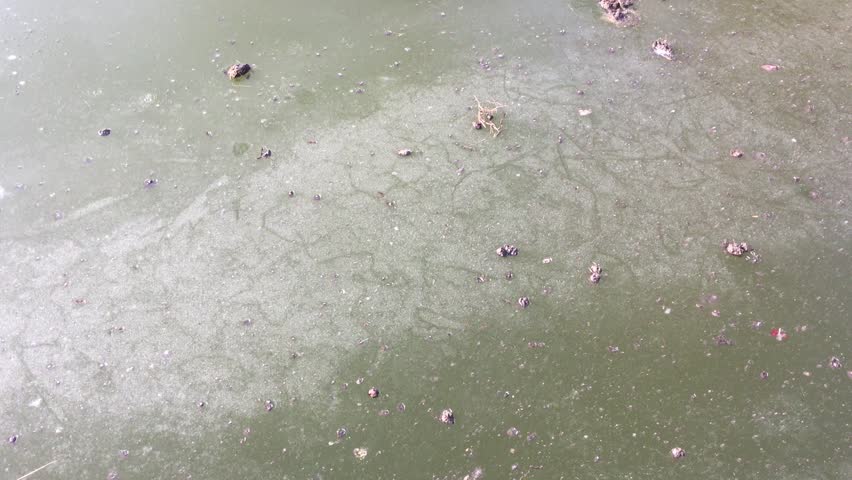 Ice layer on the lake.